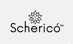 India Websoft client